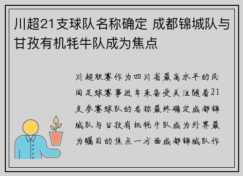 川超21支球队名称确定 成都锦城队与甘孜有机牦牛队成为焦点